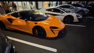 ¡Eso es un resumen de Exotics & Elegance 2026!@theexoticsnetwork 