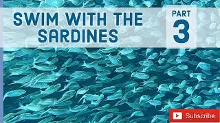 The Sardine dance in Moalboal