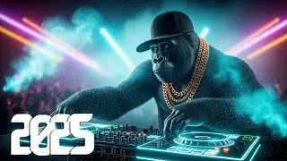 Midnight Festival | American EDM Music