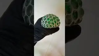 Зеленый сетчатый мягкий #мяч от стресса