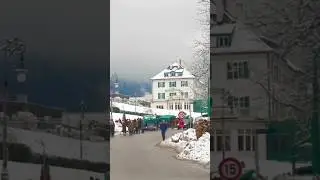 #жизньвгермании #беженцы #европа