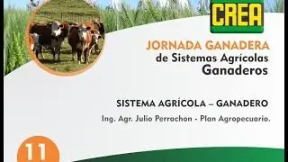 Sistemas Agrícolas Ganaderos - Ing. Agr. Julio Perrachón, Plan Agropecuario