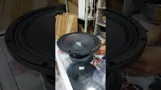 MIDBASS D12