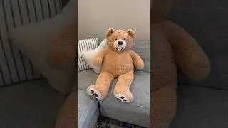 Giant Teddy Bear 🧸 Linked in bio