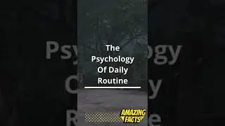 Psychology of daily routine | Amazing Facts | #shorts