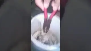 Amazing!! Eels hunt in the night#bigeel #bigeelfishing #shortviral #Monster eel #fishing