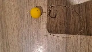 Tutorial karper onderlijn + tips beginners