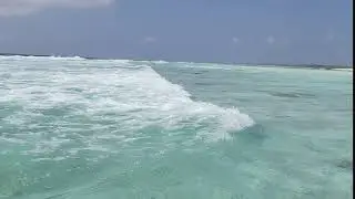 wading at rising tide for GT on astove