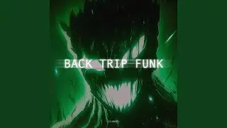 BACK TRIP FUNK (SLOWED)