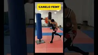 Feint punch by Canelo