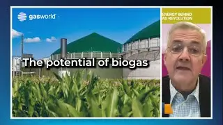 The potential of biogas