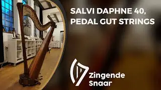 Salvi Daphne 40, pedal gut strings