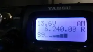 Radio Mustang