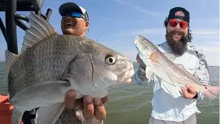 Black Drum & Redfish {Aransas Bay South Texas}