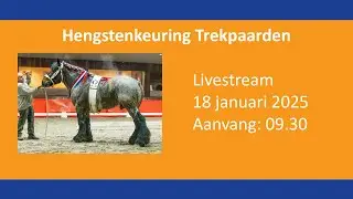 Hengstenkeuring Trekpaarden 2025