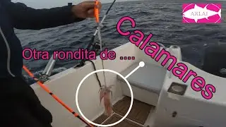 Calamares 
