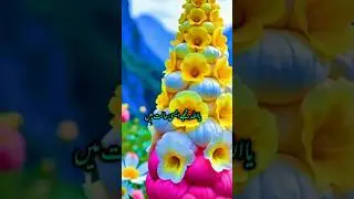 most beautiful rare flowers in the world 🌹🌹🌹#beautifulflowers #nature #flowersnameflowersname