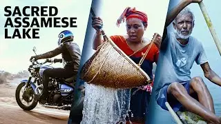 The Sacred Assamese Lake | Deepor Beel | Unesco X Royal Enfield