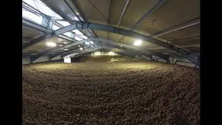 Loading Bulk Storage