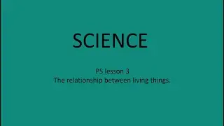 ESL Science Lesson 3