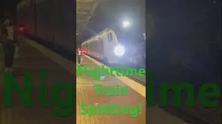 🚆 TEXRail Panther Train at FW Central Station! #shorts #railfan