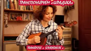 Как играть упражнения Шрадика - Exercises H. Schradieck