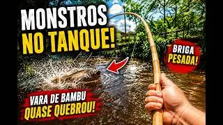 Pescaria em nosso tanque particular tambac&uacute;s e til&aacute;pia
