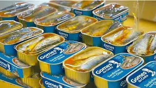Como é Feito: As SARDINHAS — A INCRÍVEL PRODUÇÃO das Sardinhas em LATA!