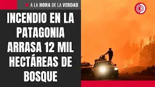 Fire in Patagonia destroys 12,000 hectares of forest