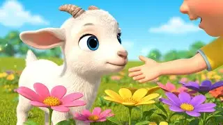 Naughty Goat Hid the Colorful Flowers | Nursery Rhymes for Kids & Baby Songs