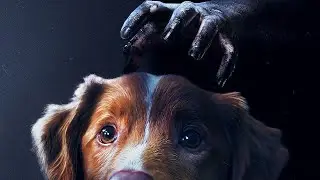 Good Boy | A Horror Misfire with Cute Dog Energy | Movie Review