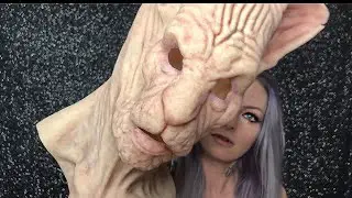 How to apply/remove immortal masks (crazy cat lady)