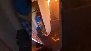 #panda #cute #funny #fy #future Dog Saves Firefighter During Rescue