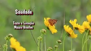 Poesia - Saudade - Mauro Bonfim #5