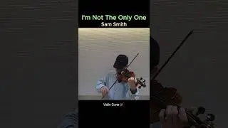 🎻 I&rsquo;m Not The Only One &ndash; Sam Smith | Violin Cover