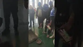 Congo client come to LIMA test fish feed machine#fishfeed #fishfeedmachine