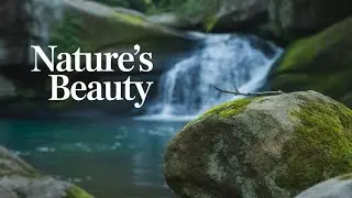 Nature&rsquo;s Water Symphony 🌊 | Relaxing River Sounds for Sleep & Focus