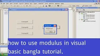 how to use modulus in visual basic bangla tutorial.