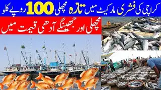 Karachi Fishery Current Fish Prices 2024 | Fish Market | Seafood Wholesale Rates @DiscoverWithNaveel