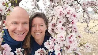 EuroTourGuide Coach Tours Positive Place Hondon Valley Almond Blossom