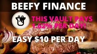[BEEFY FINANCE] THIS VAULT PAYS 1.62% PER DAY