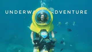 Best tour ever! BOSS Underwater Adventure | St. Thomas, US Virgin Islands | 2020