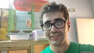 Hedgehog ki Tabiat Behtar! | Candy Betta Fish & Click Beetle Rescue | Comeback Vlog!