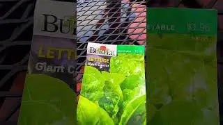 4 seeds you can still plant outside before Spring! #shorts