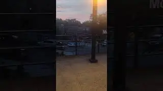 Morris Park- THE BRONX