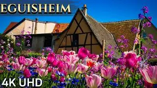 Eguisheim: Medieval Charm in the Heart of Alsace 4k