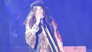 Steven Tyler 