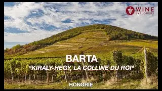 DOMAINE BARTA l KIRALY-HEGY, LA COLLINE DU ROI | WINE EXPLORERS