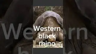 Last pictures of extinct animals part 4 #extinctanimals ￼