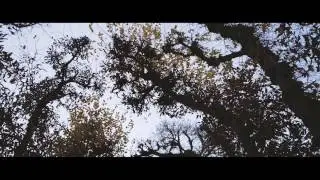 Walid Gorgy - Director - der letzte herbsttag